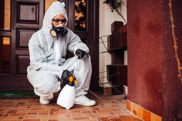 Reliable Cockroach Control contractor in Milbank, SD by Nex Pest Control